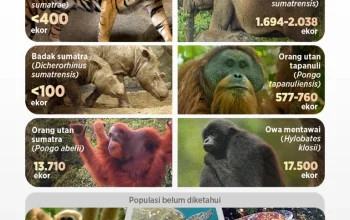 5 Satwa Ikonik Indonesia Terancam Punah: Kondisi Terkini dan Upaya Pelestarian