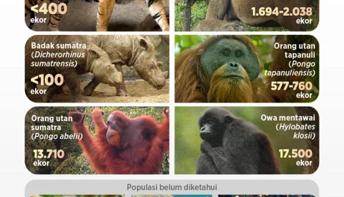 5 Satwa Ikonik Indonesia Terancam Punah: Kondisi Terkini dan Upaya Pelestarian