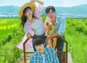 6 Drakor Romcom Pedesaan yang Memukau, Termasuk Sensasi Terbaru Sold Out on You