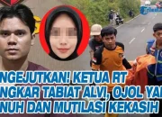 Alvi Maulana Dijatuhi Penjara Seumur Hidup atas Mutilasi Brutal Kekasihnya – Kasus yang Mengguncang Labuhanbatu