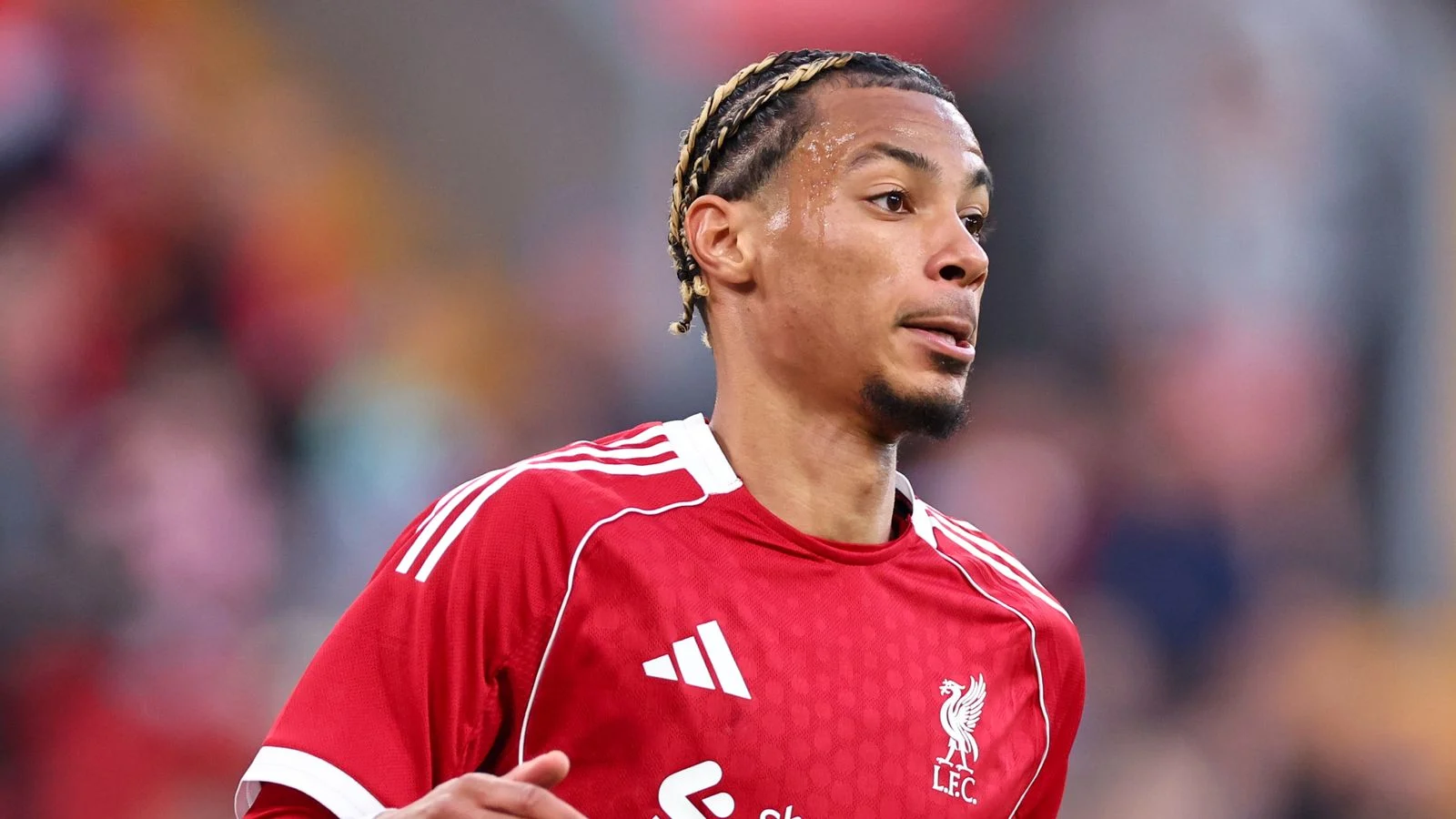 Cedera Achilles Hugo Ekitike: Liverpool Tanpa Striker Andalan Selama 9 Bulan