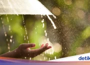 Cuaca Besok Pagi: Berawan di Kebanyakan Daerah, Potensi Hujan Ringan Mengintai