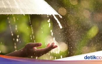 Cuaca Besok Pagi: Berawan di Kebanyakan Daerah, Potensi Hujan Ringan Mengintai