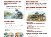 Dosen UNSRI Ungkap Risiko Logam Berat pada Ikan Sapu-sapu, Alasan Utama Tak Layak Dikonsumsi