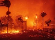 Dua Insiden Mengerikan Mengguncang Amerika: Kebakaran Besar, Gempa, dan Tragedi Keluarga