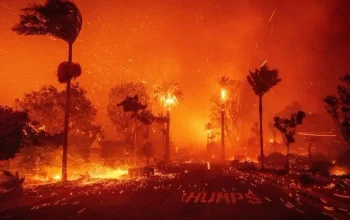 Dua Insiden Mengerikan Mengguncang Amerika: Kebakaran Besar, Gempa, dan Tragedi Keluarga