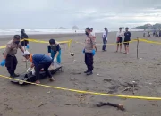 Geger! Benda Torpedo Misterius Ditemukan di Pantai Kangean, Polisi Amankan Lokasi
