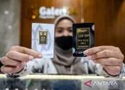Harga Emas Antam di Pegadaian Turun Tipis, UBS Stabil, dan Galeri24 Ikut Menguat pada 16 April 2026