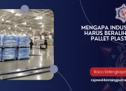 Harga Plastik Meroket, Industri Beralih ke Kemasan Kertas: Peluang Besar dan Tantangan Logistik