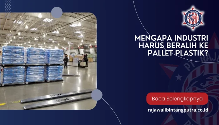 Harga Plastik Meroket, Industri Beralih ke Kemasan Kertas: Peluang Besar dan Tantangan Logistik