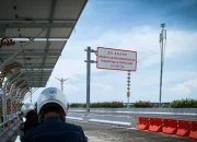 Heboh Kawanan Lebah Tol Bali Mandara: Penjelasan BKSDA tentang Penyebab dan Tindakan Pencegahan