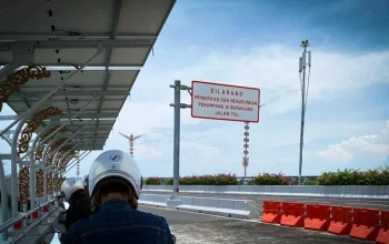 Heboh Kawanan Lebah Tol Bali Mandara: Penjelasan BKSDA tentang Penyebab dan Tindakan Pencegahan