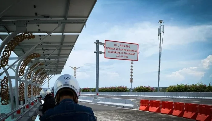 Heboh Kawanan Lebah Tol Bali Mandara: Penjelasan BKSDA tentang Penyebab dan Tindakan Pencegahan