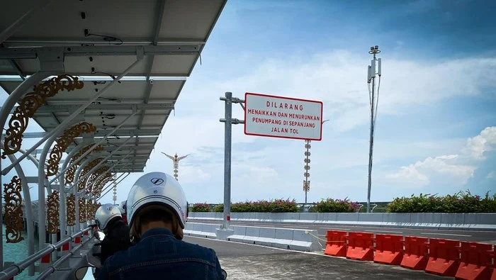 Heboh Kawanan Lebah Tol Bali Mandara: Penjelasan BKSDA tentang Penyebab dan Tindakan Pencegahan