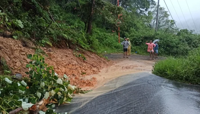 Hujan Lebat Picu Serangkaian Longsor di Sleman, Akses Jalan Terganggu dan Warga Diminta Waspada