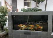 Kolam Ikan Pagar Alam Merah Darah Usai Hujan, Warga Ditemukan Sebagai Penyebab Utama