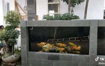 Kolam Ikan Pagar Alam Merah Darah Usai Hujan, Warga Ditemukan Sebagai Penyebab Utama