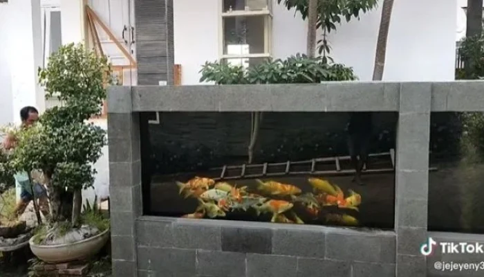 Kolam Ikan Pagar Alam Merah Darah Usai Hujan, Warga Ditemukan Sebagai Penyebab Utama