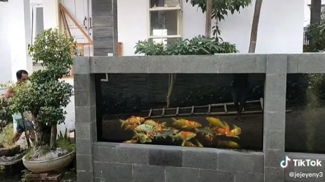 Kolam Ikan Pagar Alam Merah Darah Usai Hujan, Warga Ditemukan Sebagai Penyebab Utama