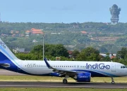 Misteri Indigo: Dari Anak Berbakat, Maskapai Terbang, hingga Bintang Pop Lola Indigo