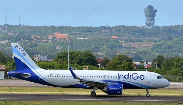 Misteri Indigo: Dari Anak Berbakat, Maskapai Terbang, hingga Bintang Pop Lola Indigo