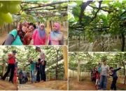 Pafos: Dari Ladang Anggur ke Lapangan Hijau, Cerita Kota yang Menyatu dengan Sepak Bola dan Tradisi