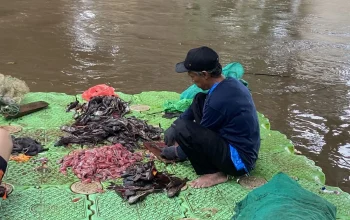 Penangkapan Ikan Sapu-sapu Gubernur Pramono Disorot DPRD: Lebih dari Sekadar Seremonial
