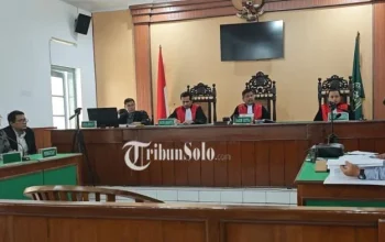 Pengadilan Negeri Surakarta Tolak CLS Ijazah Jokowi, Kuasa Hukum Tegaskan Legitimitas Gelar