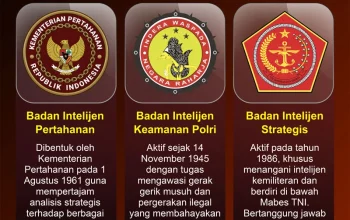 Pengawasan Publik dan Koordinasi Global: Tantangan Baru Bagi Badan Intelijen Strategis di Era Data