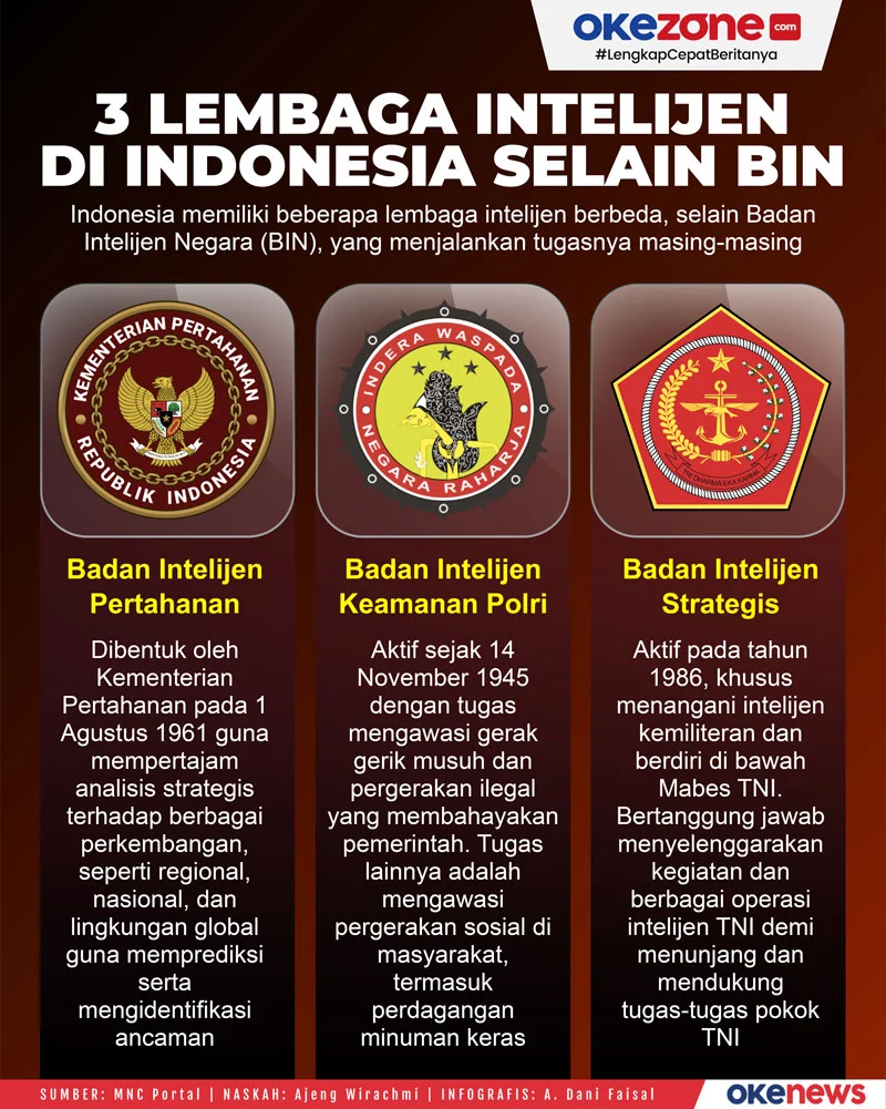 Pengawasan Publik dan Koordinasi Global: Tantangan Baru Bagi Badan Intelijen Strategis di Era Data