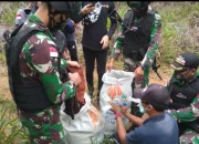 Satgas Pamtas Gagalkan Penyelundupan Besar di Pulau Sebatik, Gempa Sumatera Utara dan Rekayasa Lalin Tambah Tantangan Keamanan