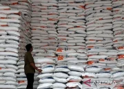 Stok Beras Nyaris 5 Juta Ton, Mentan Amran Pastikan Indonesia Tahan Godzilla El Nino