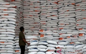 Stok Beras Nyaris 5 Juta Ton, Mentan Amran Pastikan Indonesia Tahan Godzilla El Nino