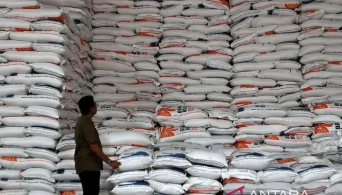 Stok Beras Nyaris 5 Juta Ton, Mentan Amran Pastikan Indonesia Tahan Godzilla El Nino