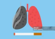 UFO dan Kebiasaan Merokok Malam: Fenomena Misterius yang Meningkat di Jerman dan Indonesia