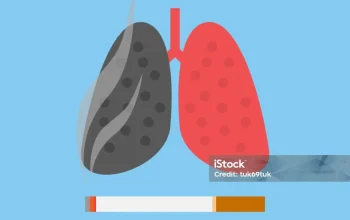 UFO dan Kebiasaan Merokok Malam: Fenomena Misterius yang Meningkat di Jerman dan Indonesia