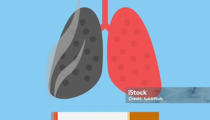 UFO dan Kebiasaan Merokok Malam: Fenomena Misterius yang Meningkat di Jerman dan Indonesia
