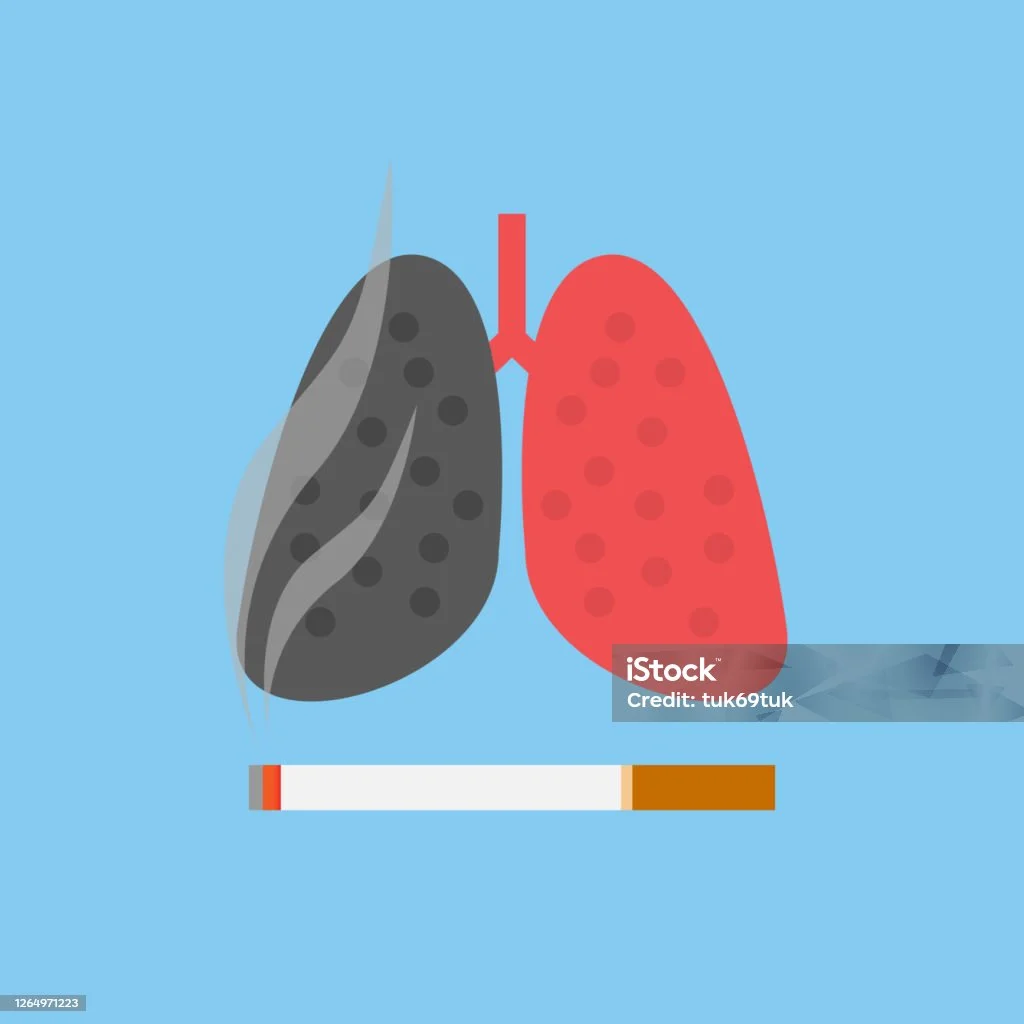 UFO dan Kebiasaan Merokok Malam: Fenomena Misterius yang Meningkat di Jerman dan Indonesia