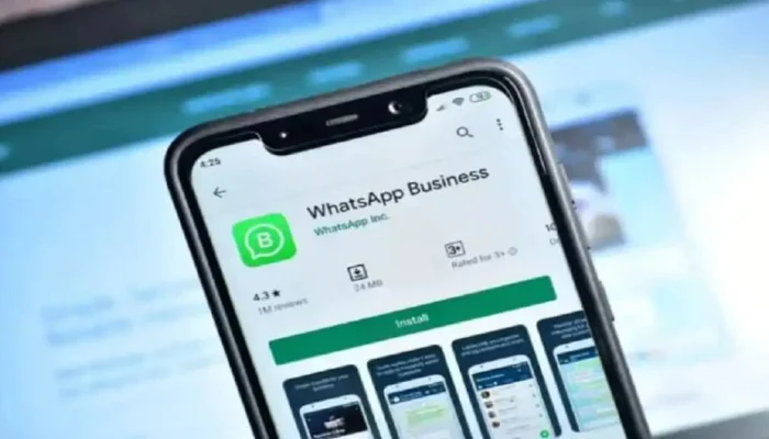WhatsApp Plus Segera Hadir dengan Fitur Premium, Langganan Mulai €2,49 di Eropa