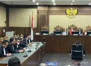 31 daycare ilegal Yogyakarta Ditutup Sementara, Pemerintah Tegaskan Penegakan Hukum
