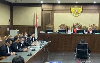 31 daycare ilegal Yogyakarta Ditutup Sementara, Pemerintah Tegaskan Penegakan Hukum