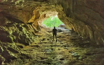 5 Penambang Ditemukan Hidup di Gua Laos Setelah Terjebak Selama Lebih dari Seminggu