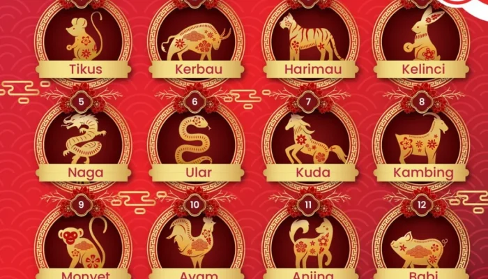 6 Shio Paling Beruntung dan Sukses Minggu Ini: Kelinci, Kuda, dan Ular Diprediksi Mendapatkan Rezeki dan Kabar Baik