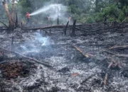 Ancaman El Nino 2026: Ribuan Titik Api Terdeteksi di Sumatra, Presiden Prabowo Subianto Imbau Kesiapsiagaan