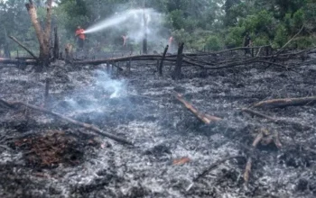 Ancaman El Nino 2026: Ribuan Titik Api Terdeteksi di Sumatra, Presiden Prabowo Subianto Imbau Kesiapsiagaan