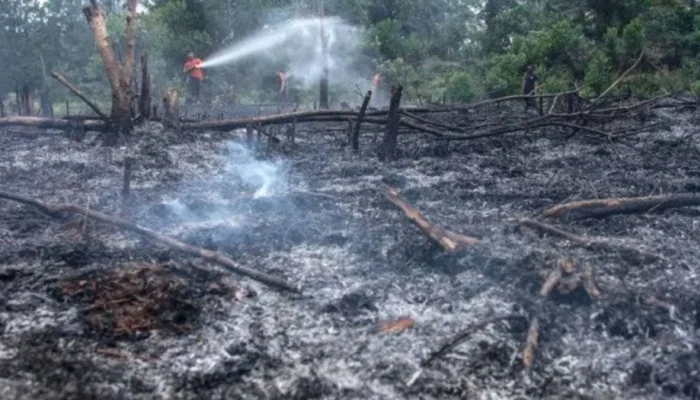 Ancaman El Nino 2026: Ribuan Titik Api Terdeteksi di Sumatra, Presiden Prabowo Subianto Imbau Kesiapsiagaan