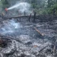 Ancaman El Nino 2026: Ribuan Titik Api Terdeteksi di Sumatra, Presiden Prabowo Subianto Imbau Kesiapsiagaan