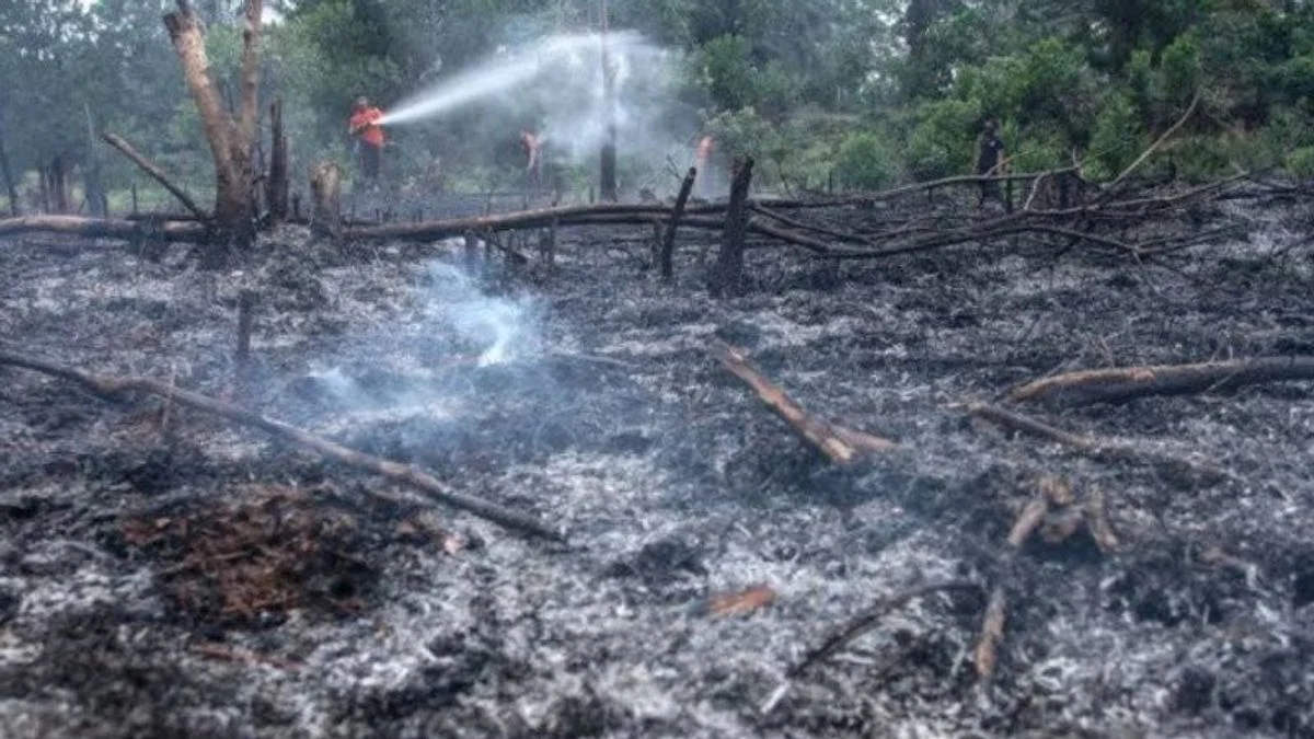 Ancaman El Nino 2026: Ribuan Titik Api Terdeteksi di Sumatra, Presiden Prabowo Subianto Imbau Kesiapsiagaan