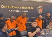 Anderson: Dari Dunia Hiburan Hingga Kasus Kriminal