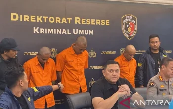 Anderson: Dari Dunia Hiburan Hingga Kasus Kriminal